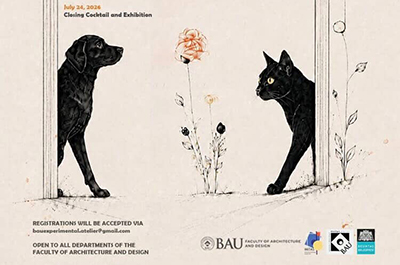 Nest Without Borders: Design Workshop for Street Animals in Istanbul